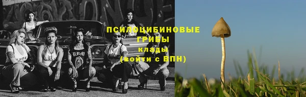 метадон Касимов