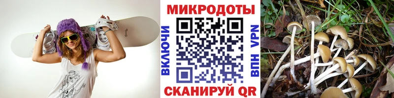 KRAKEN как войти  Малоархангельск  Галлюциногенные грибы мухоморы 